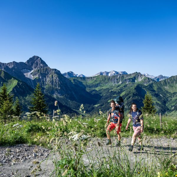 Walmendingerhornbahn Im Kleinwalsertal